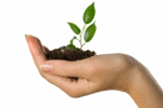 How To Successfully Grow Your Small Business