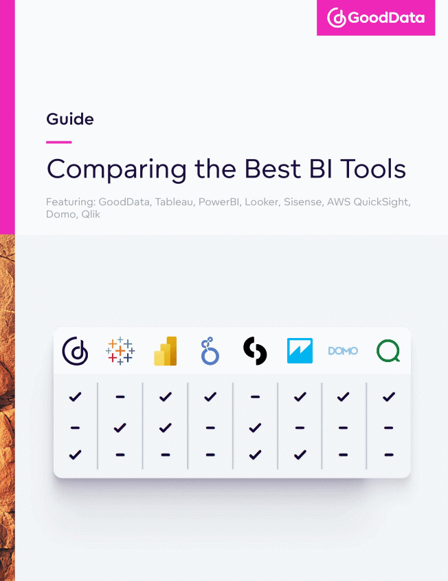 BI Tools Guide Preview