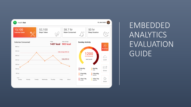 Embedded Analytics Evaluation Guide cover